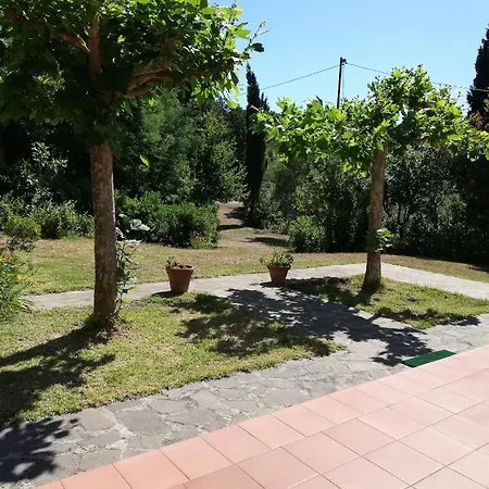 La Raganella - * Procchio (Isola d'Elba)