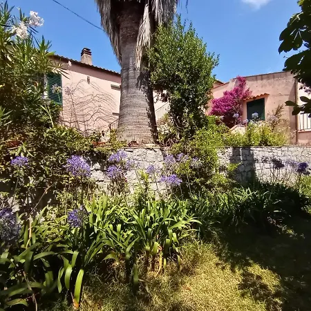 La Raganella -