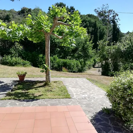 La Raganella - Apartament